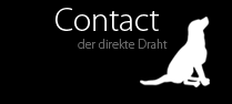 Contact - Der direkte Draht